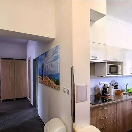 Apartmany U Aloise Dolni Morava Exterior photo