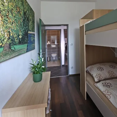 Apartmany U Aloise Dolni Morava Exterior photo