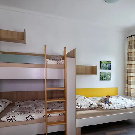 Apartmany U Aloise Dolni Morava Exterior photo