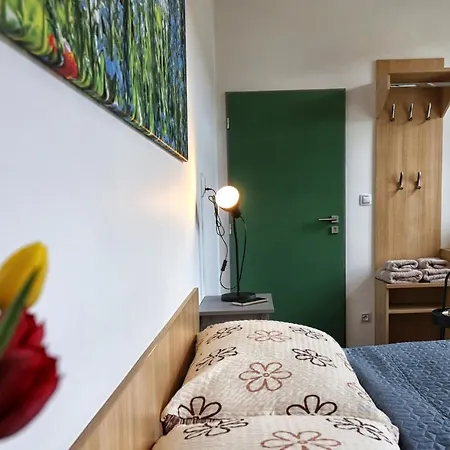 Apartmany U Aloise Dolni Morava Exterior photo