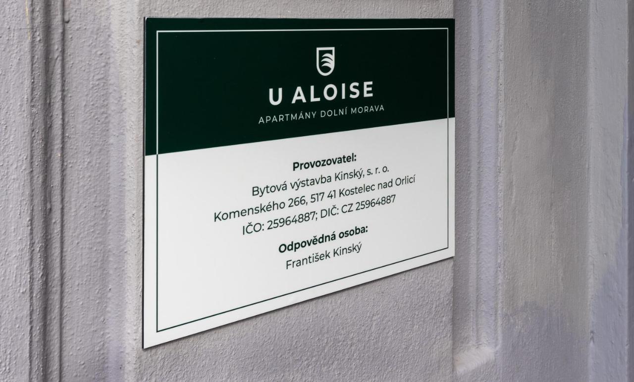 U Aloise Apartment Dolni Morava